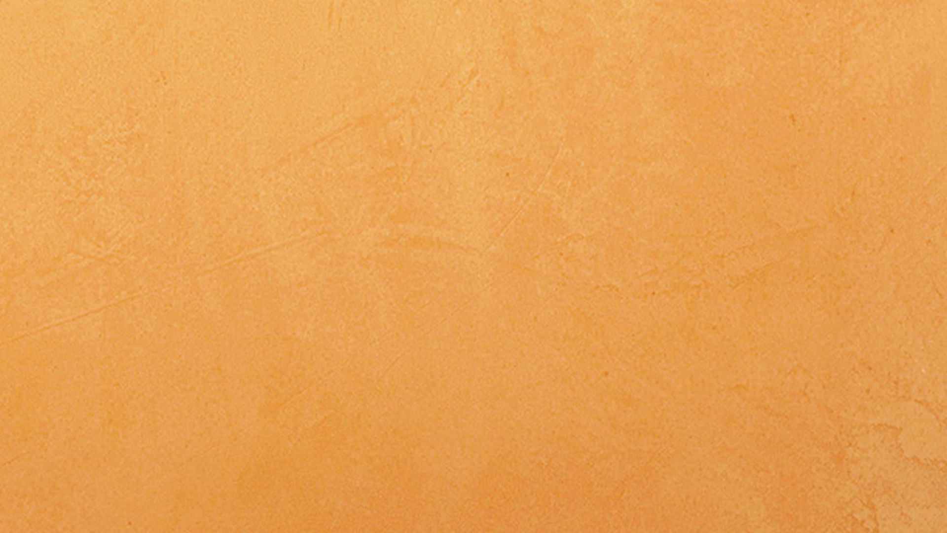 LIVE Collection: colores atrevidos y con fuerza