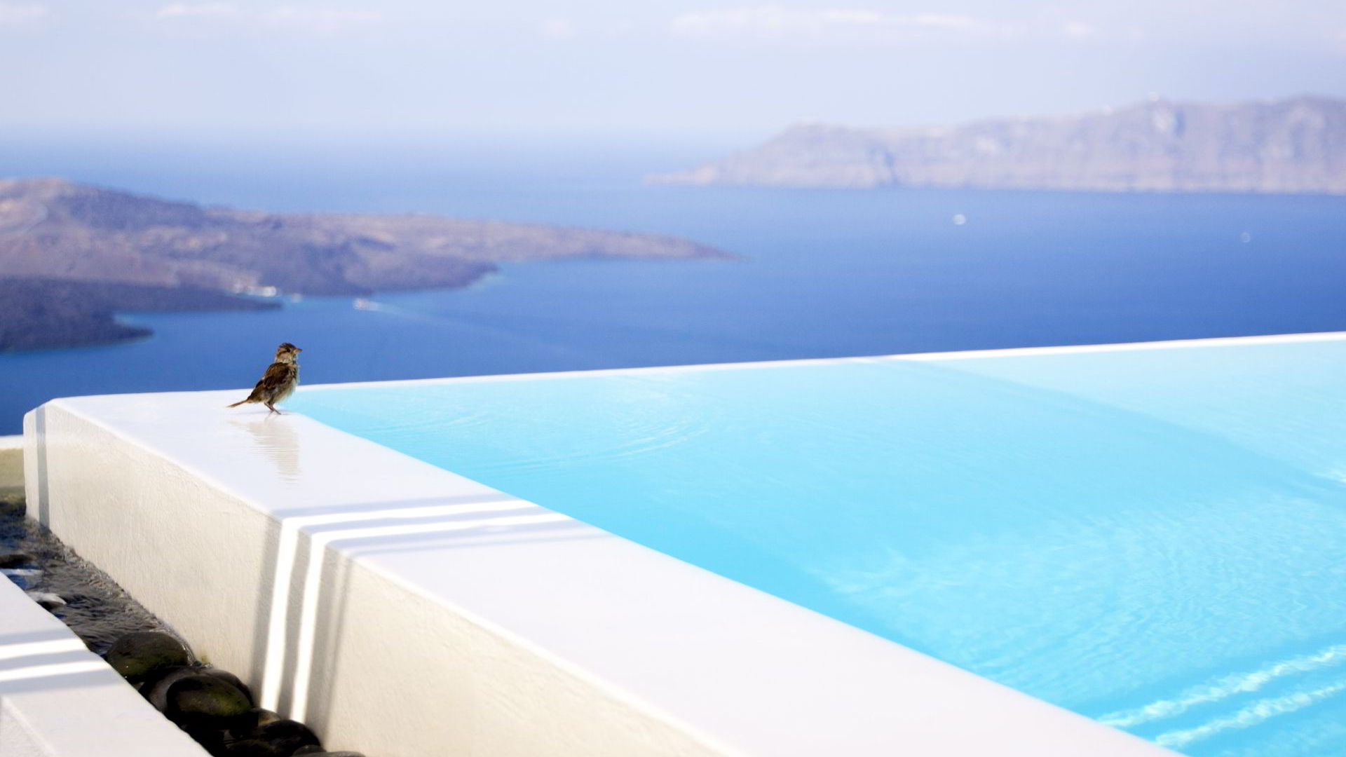 Concrete Pool